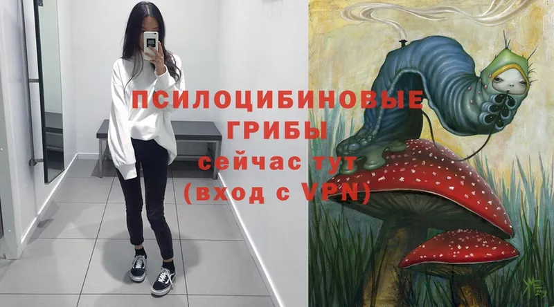 Псилоцибиновые грибы Magic Shrooms  купить   Белогорск 